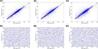 A novel image encryption scheme based on memristive chaotic system and combining bidirectional bit-level cyclic shift and dynamic DNA-level diffusion